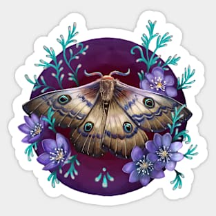 Night Butterfly Sticker